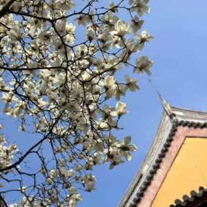 76、AI有泡沫了吗？