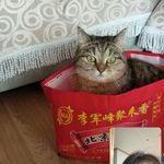 苦瓜才不苦