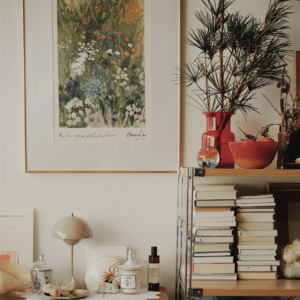 分割线|2024年度番外之「書店盒子」开播一周年