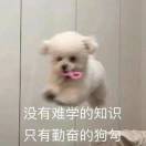 小鱼吃虾米