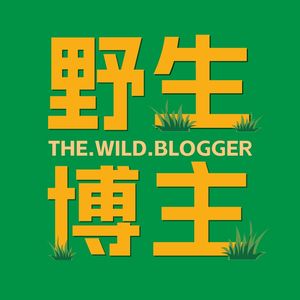 2026年，普通人靠AI做自媒体，还能翻身么？｜串台02