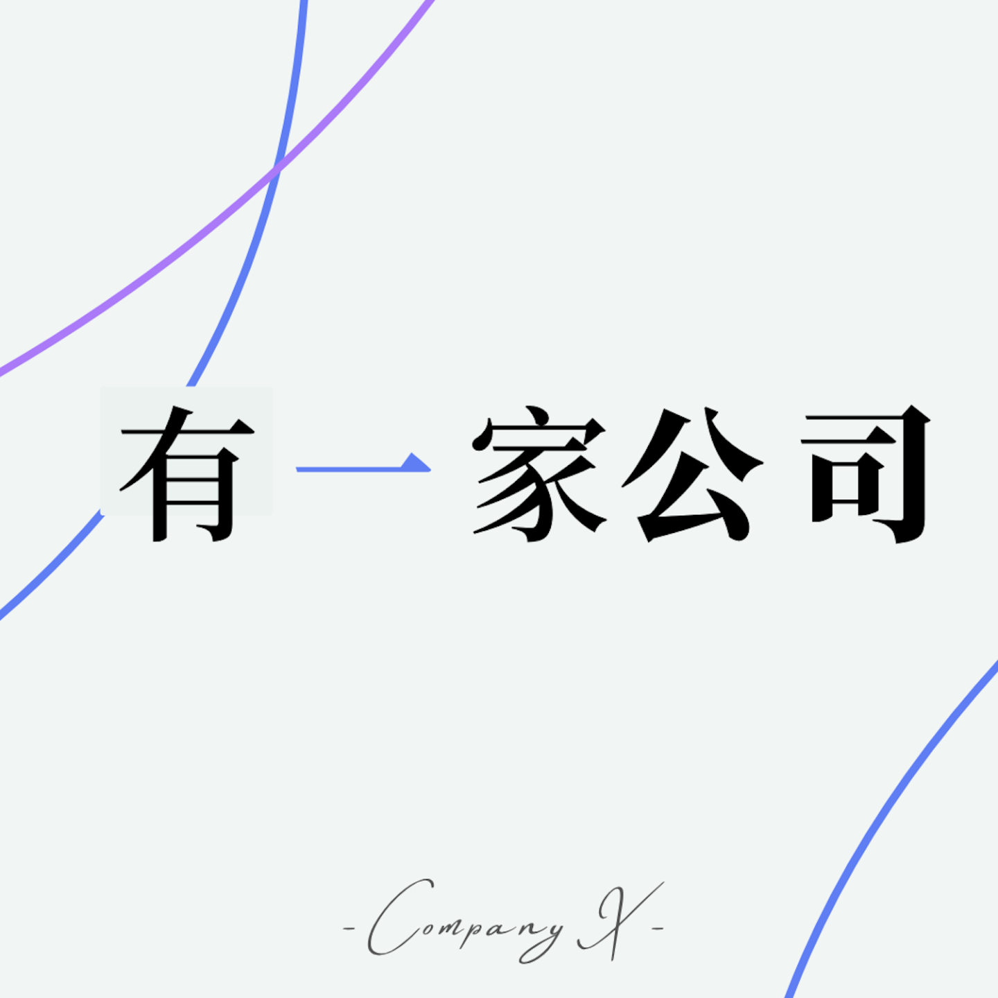 有一家公司