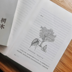 13.🌳｜喜欢芬兰｜聊聊抱树和树的秘密