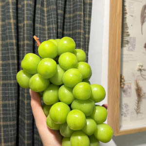 懒懒散散地躺一天 📅 Jul.27