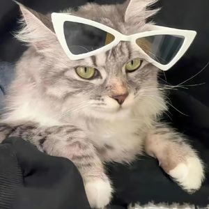 podcaster-avatar