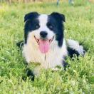 行者无疆天道忌巧