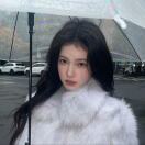 小JINYI