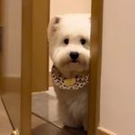 我不想再长痘啦