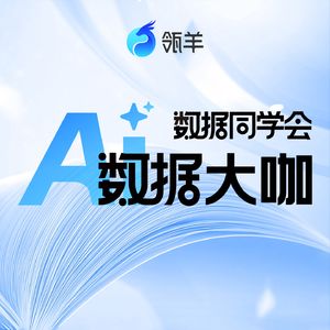 AI数据大咖