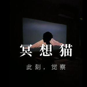 【冥想猫】正念冥想引导