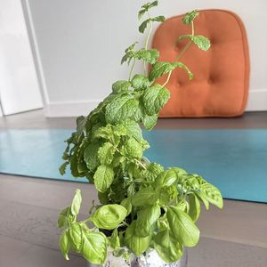 生理性喜欢怎么断