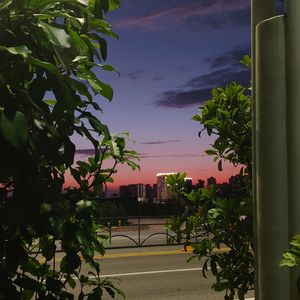 0829 这算是同情心泛滥吗？ /66.0%