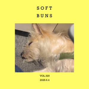 vol.329：就像刚出炉的馒头，暄软又温柔～