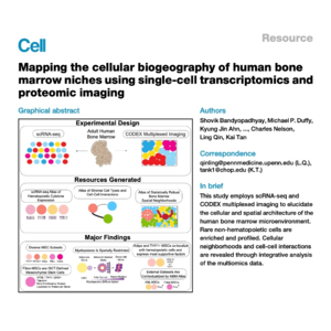 087-Cellular biogeography of human bone marrow