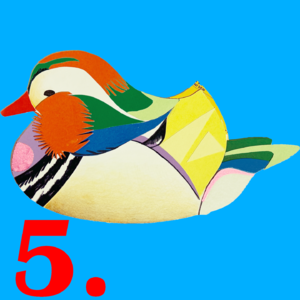 0.5 人生如厕｜新年第一泡！