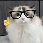 团子OOO-