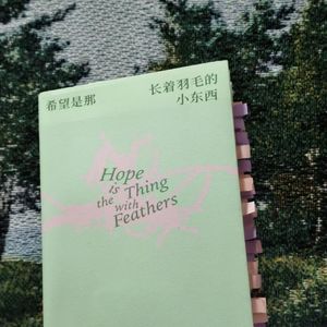 E42.《希望是那长着羽毛的小东西》：它栖息在灵魂深处
