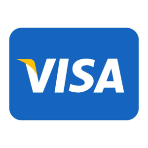 了解一个公司：Visa