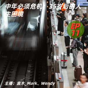 11. 中年必须危机：35岁后的人生困境