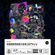 vol.767 综艺观察家超级大返场之乱斗Party