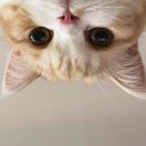 追风少年骑摩托