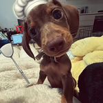 摔倒了就多躺一会