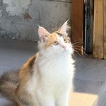 天天听天天开心