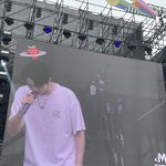 啊茶茶