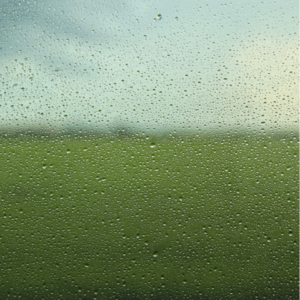 VOL.024 中医科普式闲聊|湿气的真相、养神养形以及no作no die