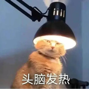 第一期：雅思口语之中文回答