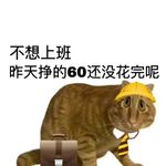 迢迢年华谁老去