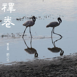 34｜鹅之书：一个我远走他乡，一个我留在原地