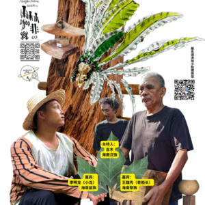 黎族老船长聊山猪药