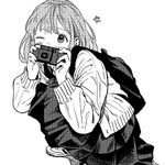 桃子掉在了牛顿头上