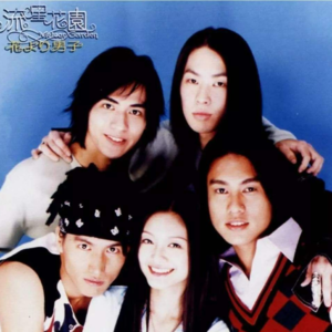 12.友情的力量：朋友们是我生命中的那束光