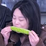 老花花310