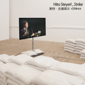 黑特·史德耶尔《罢工》