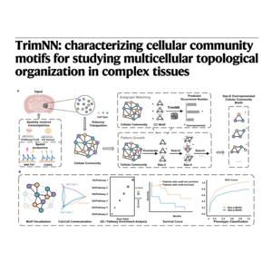 106-TrimNN:细胞群落拓扑组织分析框架