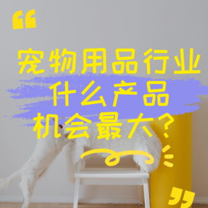 宠物用品行业什么产品机会最大？