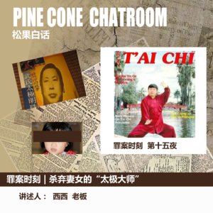 16.罪案时刻 | 残忍的太极宗师——薛乃印案