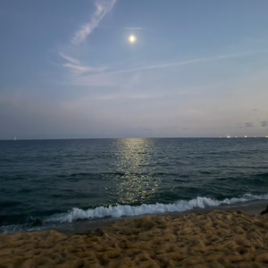 Vol.5 - 美是一种通感：在巴黎铁塔，在巴塞罗那的海滩，唱起《月亮代表我的心》