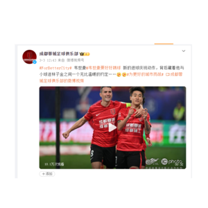 足球3：林子金与仇瑞