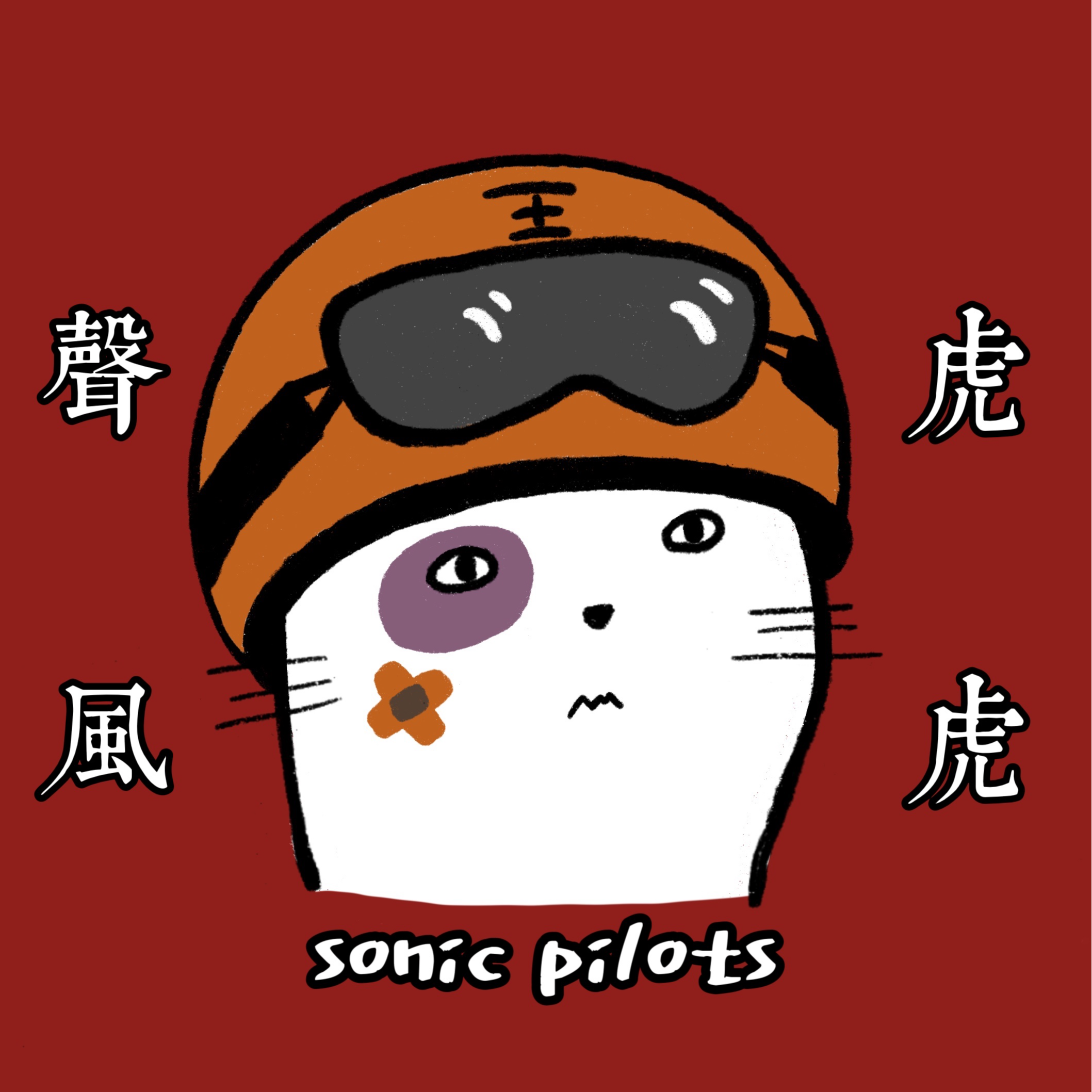 声波飞行员 | sonic pilots