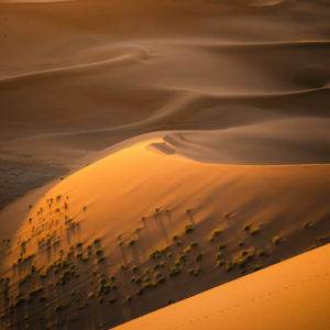 EP135 投影移动平均线