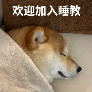 42期：人生三大难题：在哪睡？和谁睡？怎么睡？