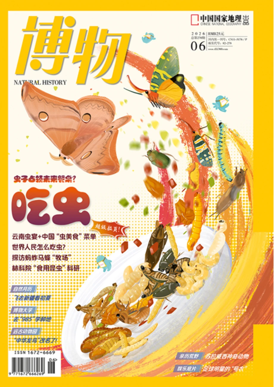 博物 2026全年1-12月共12期 PDF