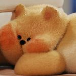 早日实现演唱会自由的五妹