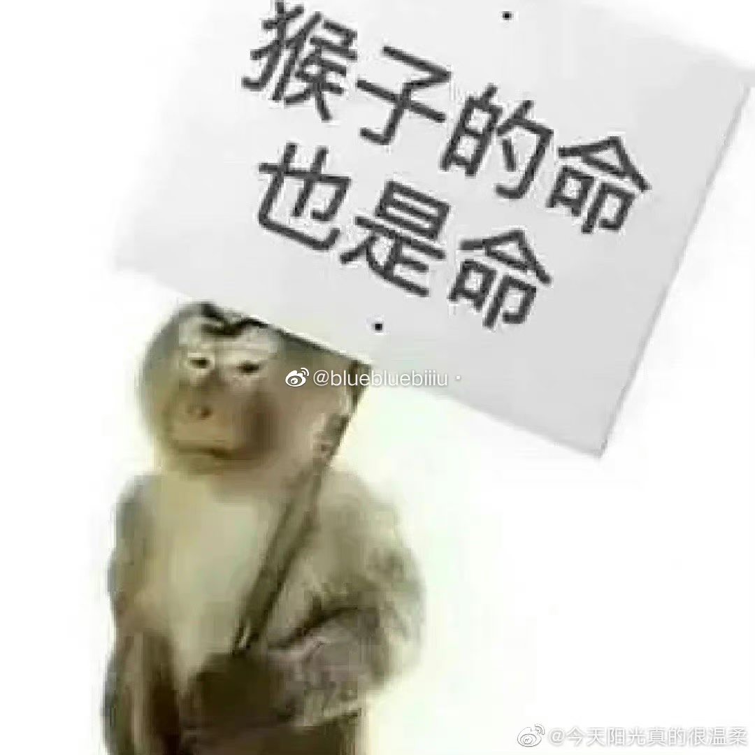 cover of episode 电视台女主持升级打怪记