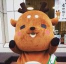 鹿鹿游