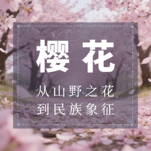 樱花：从山野之花到民族象征